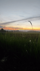 Witness documents daily life and nature in Lhokseumawe, Indonesia