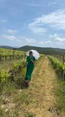 Casual vineyard scenes captured across Tarragona region Spain