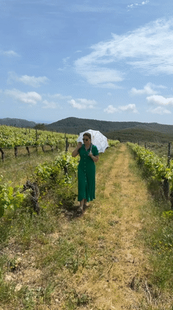 Casual vineyard scenes captured across Tarragona region Spain