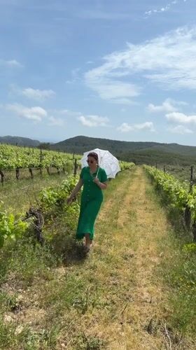 Casual vineyard scenes captured across Tarragona region Spain