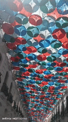 Caracas street scenes feature umbrella canopy, bank building, plaza