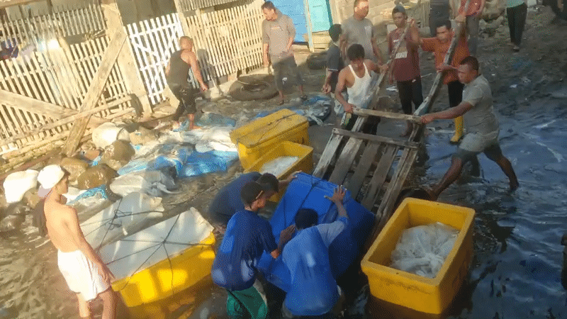Early morning fishing operations and market activity in Lhokseumawe