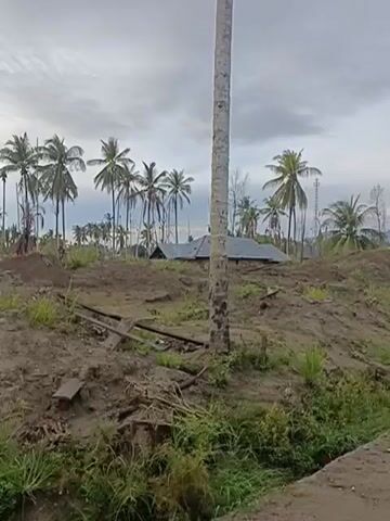 The video shows a dirt road passing through a rural village. The road is unpaved and has several puddles. On either side of the road are houses, some of which appear to be made of wood and corrugated metal. There are also many palm trees and other vegetation. The sky is overcast. There is no visible evidence of human activity or damage.
