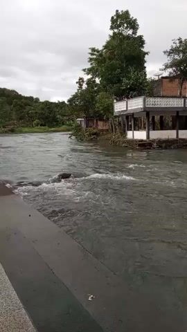 This video showcases a wide river flowing through a village in Blang Bebangka, Indonesia. The river appears to be in a somewhat high flow, with visible ripples and some debris in the water. On the riverbank, several buildings are visible, including a structure with a white, ornate railing and a gazebo-like area. Further along the bank, more traditional-looking houses with wooden elements and some stone retaining walls can be seen. Lush green trees and vegetation surround the buildings, indicating a tropical or subtropical climate. The sky is overcast, suggesting it might be a cloudy day or possibly early morning or late afternoon. There are no people clearly visible in the footage. The overall impression is a serene, natural landscape integrated with a rural settlement. Visible text includes a green signpost with white lettering in the distance, which appears to be directional, but the text is too indistinct to be read.