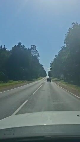 A car is driving down a two-lane road. The road is lined with trees on both sides. The sky is clear and blue. The sun is shining brightly. There is another car ahead of the car that is being filmed. The car that is filming is on the right lane. The car ahead is also on the right lane.