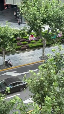 The video shows a street scene from an elevated perspective. In the foreground, lush green trees obscure the view. Below, a two-lane road is visible with cars. On the right lane, a black car with a distinctive checkered camouflage wrap is parked, and a black sedan is driving away in the left lane. On the sidewalk to the left of the road, a red scooter is parked. Further down the street, blue bicycles are parked next to another red scooter. Beyond the sidewalk, there is a landscaped area with manicured bushes and decorative plantings. Several people are walking on the sidewalk and in the background. The overall impression is an urban environment on a bright day.