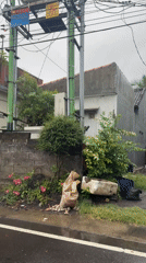 Early morning street activity captured in rainy Kuta Selatan