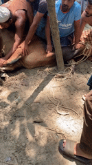 Animal slaughter documented in rural Bangladesh clearing