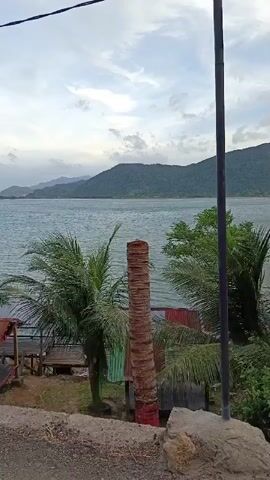 The video shows a scenic view of a body of water with mountains in the distance. There are several small structures with corrugated metal roofs near the water's edge, possibly some form of seating or shelter. Palm trees and other foliage are visible, indicating a tropical or subtropical environment. A tall, weathered tree trunk stands prominently in the foreground. The sky is overcast with some clouds. A power line or cable stretches across the top of the frame. The scene appears to be a natural landscape with some human presence in the form of the small structures.