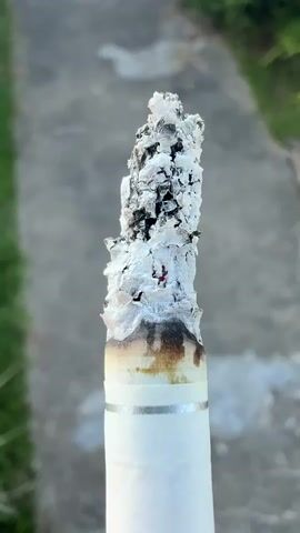 The video shows a close-up, static shot of a burning cigarette held vertically, with the ash at the top. The cigarette has a white filter and a silver band. The ash is white and gray, with some black and red embers visible within it. The background is blurred and appears to be an outdoor setting with a gray concrete surface and green grass or foliage. The lighting suggests it is daytime. There are no people or actions depicted beyond the burning cigarette itself.