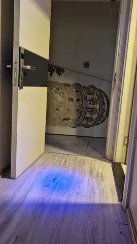 The video shows a hallway with a partially open door on the right. The door is white with a dark section and a silver handle. In the foreground, there is a light-colored wooden floor with a patch of blue light on it. To the left of the door, a long, ornate silver mirror hangs on the wall. The mirror reflects the hallway and the open door. The walls are painted white. In the background, visible through the open doorway, there appears to be a hallway with a wallpapered section featuring a graphic of a cylindrical structure with ornate details, possibly a tower. There is also a red fire alarm visible on the wall in the background. The lighting is dim, with the blue light on the floor being the most prominent illumination. The camera pans slightly from right to left, focusing on the mirror and the door.