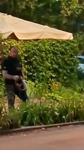 A man with a dark shirt and camouflage pants is walking to the right, carrying a dark object, possibly a bag or a pet, in his left arm. He is in an outdoor setting with lush green foliage and a white awning with lights overhead. A white car is visible in the background behind the bushes. The sun appears to be setting, casting a warm glow.