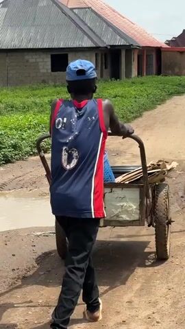 A person walks away from the camera down a dirt path, pushing a two-wheeled cart. The person wears a blue baseball cap, a sleeveless blue and red jersey with a white number 6 on the back, black pants, and light-colored sandals. The cart is loaded with various items, including what appears to be a blue plastic container, some flat pieces of material, and possibly some scrap metal or wood. The path is uneven and has some muddy puddles. In the background, there are buildings with corrugated metal roofs and brick walls, and overgrown vegetation. The overall setting appears to be a rural or semi-rural area.