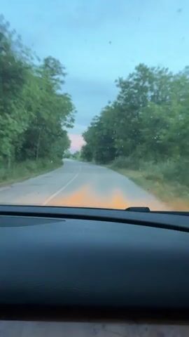 The video is filmed from inside a car, looking out the windshield. The car is driving on a paved road that is lined with trees on both sides. The sky above is a pale blue with hints of pink and orange, suggesting it is either sunrise or sunset. The road is mostly empty, with no other vehicles visible. The dashboard of the car is visible in the foreground, and it appears to be made of dark material with some wood trim. There are a few specks on the windshield, possibly dirt or insects. The overall impression is a quiet drive through a natural setting.