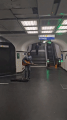 Evening scenes: subway musician and perched birds in Paris