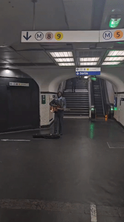 Evening scenes: subway musician and perched birds in Paris