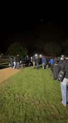 Large group walks toward light source in Norwich field