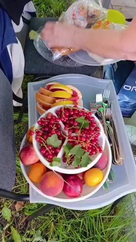 A top-down shot shows a picnic setting with various fruits and food items. In the foreground, a white divided platter holds a generous serving of red currants with green leaves. Surrounding this platter are several whole fruits including peaches, plums, and what appears to be an orange or nectarine. Behind the fruit platter, a white rectangular tray holds sliced grapefruit, arranged in a fan shape. To the right of the fruit, a stack of silverware, including forks and knives, is visible. In the background, a plastic bag contains bread or pastries. The picnic appears to be set up outdoors, with green grass visible in the lower portion of the frame.