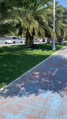 The video shows an outdoor scene on a sunny day. In the foreground, there is a worn blue and red pathway with irregular shadows cast upon it, presumably from palm trees. Adjacent to the pathway, a strip of green grass runs parallel to a street. Several tall palm trees are spaced along this grassy area. Under the shade of one of the prominent palm trees, two individuals are visible on the grass. One person is lying down on a blue mat, while the other is sitting upright next to them. Further down the grassy strip, additional people are scattered, some also seeking shade under other palm trees. In the background, a street with parked cars, including a white van and a silver sedan, is visible. The sky is clear and blue.