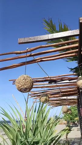 A drone shot pans right, capturing an outdoor beachside scene under a clear blue sky. In the foreground, a wooden structure with bamboo-like poles supports a roof made of thinner wooden sticks. Several spherical, woven decorations are hanging from the structure. To the left and bottom, lush green palm fronds and other plants are visible, with glimpses of a sandy beach and the ocean in the background. A few small figures are scattered on the beach, and gentle waves roll onto the shore.
