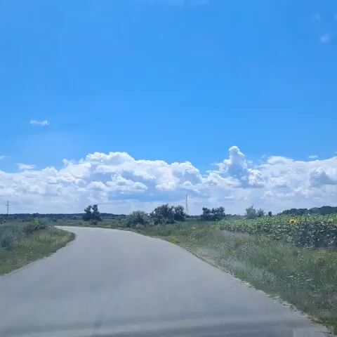 The video shows a curved, paved road in a rural landscape under a bright blue sky with scattered white clouds. The road appears to be a two-lane highway or country road, with the viewpoint from a vehicle traveling on it. On either side of the road are fields of grass and vegetation, with some scattered trees and bushes. In the distance, a treeline is visible, and possibly some power lines. The overall impression is of a clear, sunny day in the countryside.