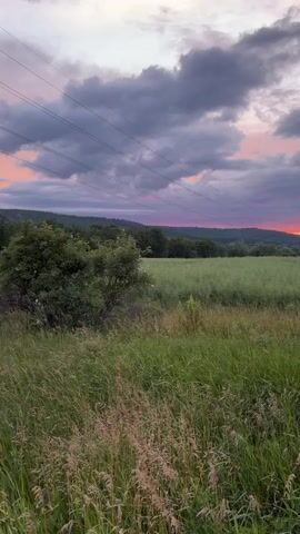A slow pan shot captures a rural landscape at dusk. In the foreground, tall green grass sways gently, with some dried stalks interspersed. Beyond the grass, a vast field of green crops stretches towards a tree line. In the distance, rolling hills are silhouetted against a dramatic sky. The sky is filled with dark, heavy clouds that are illuminated by a vibrant sunset of pink, orange, and purple hues. Overhead, power lines stretch across the frame, supported by poles. A single pylon is visible in the distance on the right side of the frame. The overall atmosphere is serene and picturesque.
