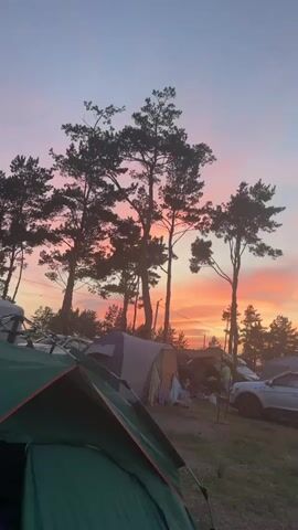 The video shows a campsite at sunset. Several tents are set up, and a few cars are parked nearby. Tall trees are silhouetted against a vibrant sky painted with hues of pink, orange, and blue. The overall impression is one of a peaceful outdoor gathering.