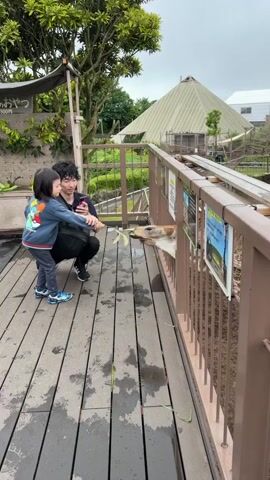 A man and a child are on a wooden walkway, the child standing and the man crouching. The man is holding a phone up, possibly taking a picture or video. The child is looking at the man. To the right, a giraffe is peeking its head over a brown fence and appears to be eating grass. In the background, there are trees, a pyramid-shaped building, and other structures. The walkway is wet in places.