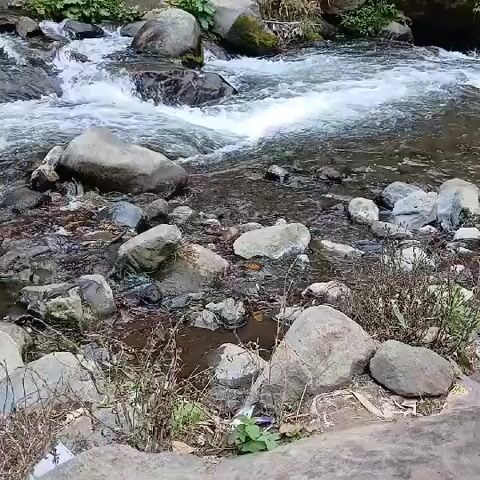 A close-up, low-angle shot shows a shallow, rocky stream. The water is clear and turbulent, flowing over rounded stones of various sizes. Some of the rocks are partially submerged, while others are exposed. There is sparse vegetation along the banks, including dry grasses and small green plants. The overall scene depicts a natural, outdoor environment with a focus on the movement of water and the texture of the rocks.