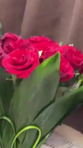 A still, close-up shot shows a bouquet of approximately a dozen red roses wrapped in green foliage and a red string tied around the base. The bouquet is resting on a white radiator in front of a brown curtain. The roses are in full bloom and the green leaves are long and slender. There are no people visible in the video.