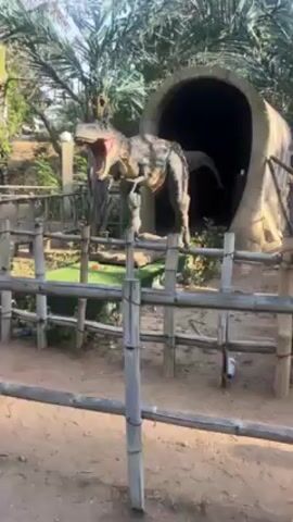 The video shows an animatronic Tyrannosaurus rex at what appears to be a dinosaur park or exhibit. The dinosaur is fenced off with bamboo. The dinosaur is grey and brown and stands in front of a tunnel. The dinosaur roars and moves its head. The area is landscaped with green foliage and palm trees.