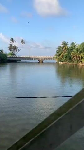 The video shows a view of a body of water, possibly a river or a canal, with a bridge in the background. Palm trees and lush green vegetation line the banks of the water. The sky is blue with some scattered clouds. The camera appears to be moving, possibly from a boat or a vehicle, as the foreground shows a blurred view of foliage. There are no people or specific actions immediately visible in the video, beyond the implied movement of the camera. The scene appears to be a tropical or sub-tropical environment.