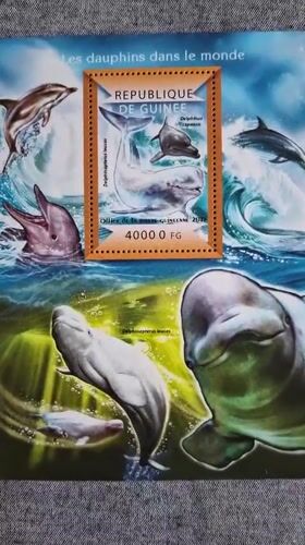 Collector displays African wildlife stamps in Bulgaria