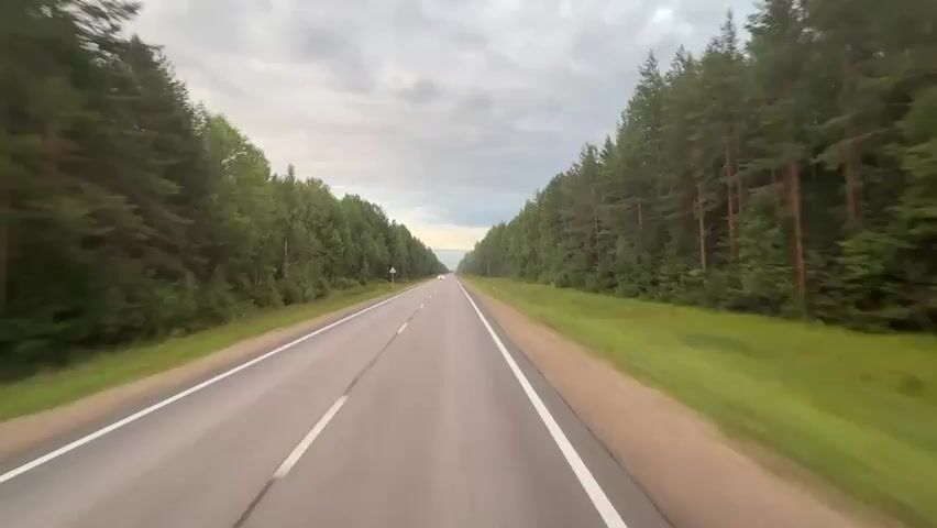 The video shows a view from a vehicle traveling on a paved road. The road is bordered by dense green forest on both sides. The sky is cloudy and overcast. A white car is seen approaching and passing the camera vehicle. The perspective suggests the video is recorded from the front of the vehicle. The road has white lines marking the lanes. The speed of the camera vehicle appears to be moderate, with the trees blurring slightly. The environment is natural, with a focus on the road and the surrounding woodland.