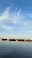 Calm Kama River waterfront documented in Chaikovsky, Russia