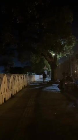 The video shows a dimly lit outdoor scene at night. A paved walkway stretches into the distance, bordered on one side by a low white wall with pointed tops and on the other by a darker fence and several large trees. A street light illuminates a portion of the walkway under one of the trees. A person walks towards the camera along the walkway. In the foreground, two people are sitting on a bench near the edge of the frame. The night sky is visible above the trees, appearing dark with a hint of light. The overall environment seems quiet and still.