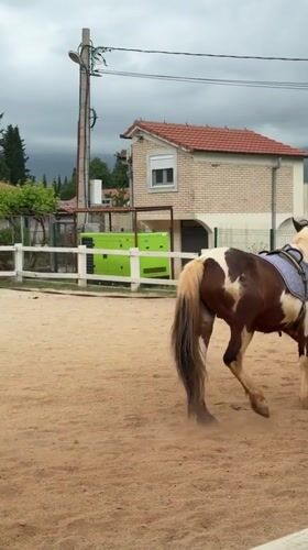 Woman trains horse in Montenegro paddock
