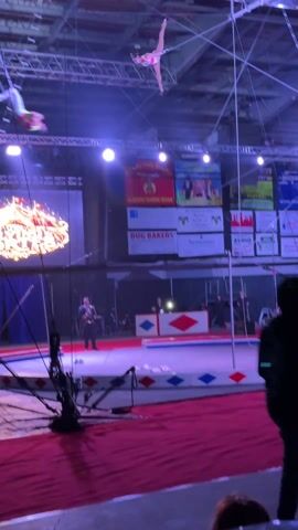 The video shows two trapeze artists performing a routine high above a circus floor. The artists, dressed in colorful outfits, swing from trapeze bars suspended from the ceiling of a large arena. The floor is covered in red and the circus ring is marked off with blue and red patterned mats.  A screen behind the ring displays the words “Circus Cortes.” A man stands on the floor, apparently overseeing the performance.  The environment is brightly lit with spotlights.