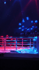 Combat sports event staged at illuminated Bangkok arena