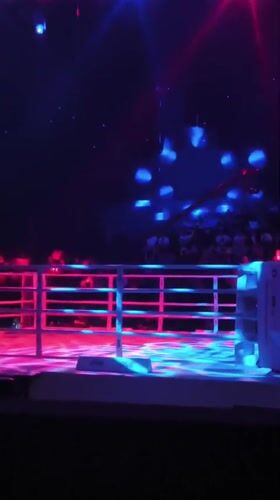 Combat sports event staged at illuminated Bangkok arena