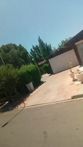 The video presents a view from a moving vehicle, likely a car or bus, traveling through a residential area in Paralimni, Cyprus. The scene unfolds on a bright, sunny day, characterized by a clear blue sky with a few scattered white clouds.

The primary subjects are the street, lined with lush green trees and various bushes, and glimpses of residential properties. In the initial seconds (0:00-0:02), a paved road, a sidewalk, and a white trash bin are visible. A prominent, long shadow cast by a tall pole stretches across the road, suggesting either morning or late afternoon. Part of a house with a white garage door is briefly seen behind the greenery.

As the vehicle continues its journey (0:02-0:05), the perspective shifts, showcasing more of the expansive blue sky. The roadside remains dense with green foliage. A brick wall and a gate belonging to a property become visible. Further down the street, a patch of dry, brown ground appears alongside the green bushes, and two parked cars—one white and one red—are partially visible in the distance.

The activity throughout the video is the continuous movement of the recording vehicle. The setting is a quiet, tree-lined street, indicative of a suburban or semi-urban environment in a Mediterranean climate. No people are visible, and there is no discernible text within the frames. The weather is consistently clear and sunny, highlighting the vibrant green of the vegetation.