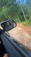Vehicle travels rural mountain terrain in Vietnamese commune