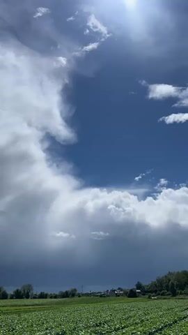 This is a vertical, slow-motion video taken from a low angle, looking up at a dramatic sky over a flat, green field. The sky is filled with large, billowing white clouds that are beginning to darken and turn gray, suggesting an approaching storm. The sun is visible in the upper right corner, creating a bright glare and backlighting some of the clouds. In the distance, there is a line of trees and a few buildings. In the foreground, a section of a green crop is visible. The video pans slowly to the right, capturing the movement of the clouds and the changing light. The overall mood is one of impending change and natural power.