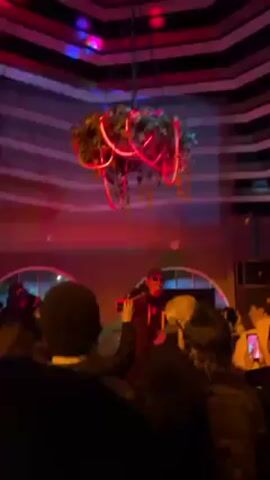 The video captures a live performance in a dimly lit venue. An adult male rapper is center stage, singing into a microphone with gestures, wearing sunglasses and a jacket. A small crowd watches, some filming the performance with their phones. Above the stage hangs a plant decoration intertwined with neon lights. The venue's ceiling features a striped pattern. Lighting effects add hues of purple and red to the scene. A loudspeaker is visible on the right side of the stage.