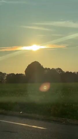 The video shows a rural landscape at sunset. The sun is low in the sky, casting a warm glow over a field of green crops. Silhouettes of trees line the horizon, and a few birds can be seen flying in the distance. A dirt road runs along the bottom of the frame, and a single street light is visible in the middle ground. The sky is a soft blue with wispy clouds. The overall impression is one of peace and tranquility.