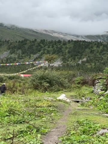 A wide shot shows a grassy path winding through lush vegetation towards a cluster of buildings with red roofs and ornate golden domes. Prayer flags are strung between buildings and stretch across the landscape. A person, small in the distance, walks along the path, facing away from the camera. In the background, a dense forest of evergreen trees covers the slopes of a mountain, which is partially obscured by dramatic, swirling clouds.
