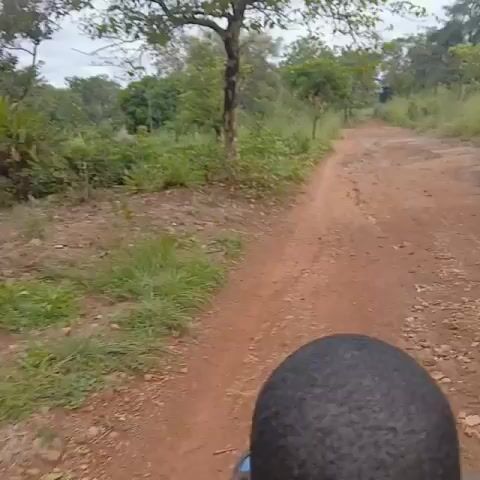 A person rides a motorbike down a dirt road in the countryside on a cloudy day. The road is red dirt and slightly bumpy. There are trees and grasses on both sides of the road.