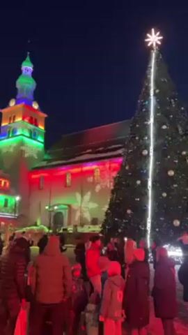 At night, a crowd of people gathers in front of a large, decorated Christmas tree. The tree has a bright star at the top and is lit with strings of lights. Behind the crowd is a tall building, possibly a church, illuminated with colorful lights and projected snowflakes. The lights shift and change colors, creating a festive atmosphere. People stand around, observing the display and talking among themselves. The scene is lively and appears to be part of a Christmas celebration.