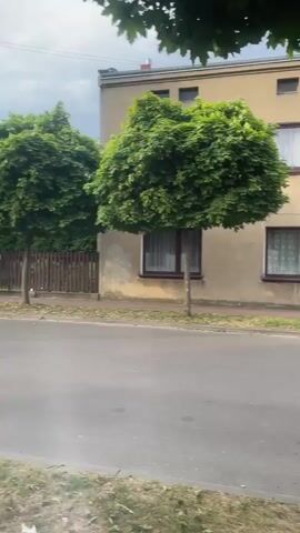 The video shows a street with houses and trees. The first frame focuses on a building with yellow walls and windows. A tree with a rounded top stands in front of it. The next frames show a street with parked cars and fences. Traffic signs are visible, including a speed limit sign. The last frames show a sidewalk made of red bricks and the side of a building with grey shutters on the windows. The sky is cloudy.