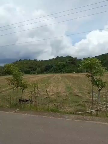 The video shows a rural landscape with a paved road in the foreground. Beyond the road, there is a field with dry grass and a few scattered trees. In the background, there is a hill covered with vegetation. The sky is cloudy with some patches of blue. Power lines are visible stretching across the frame. There are no people or animals visible in the video. The camera appears to be mounted on a moving vehicle, as evidenced by the slight blur and the changing perspective. The overall impression is one of a quiet, natural setting.